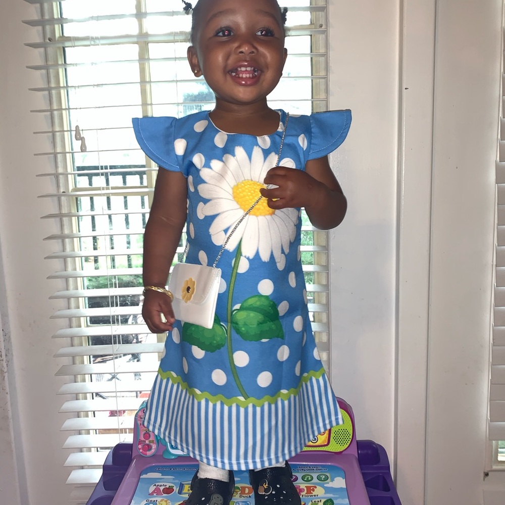 Girl’s Dress and Purse Set